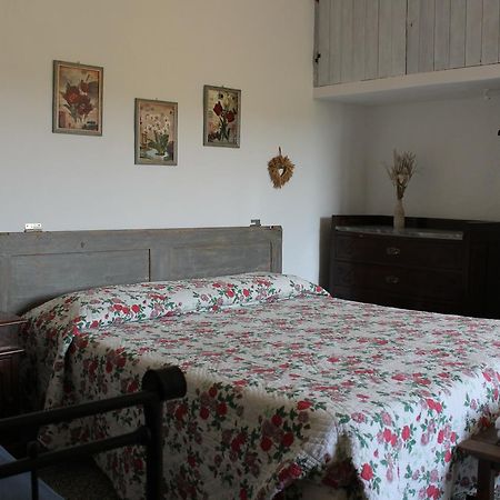 Bed and Breakfast Il Casale Поджібонсі Екстер'єр фото